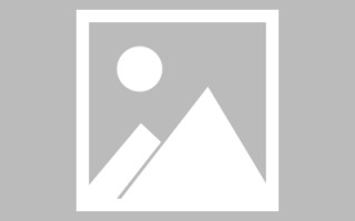 嵊州新区景区网站建设（in art criticism,you must assume）